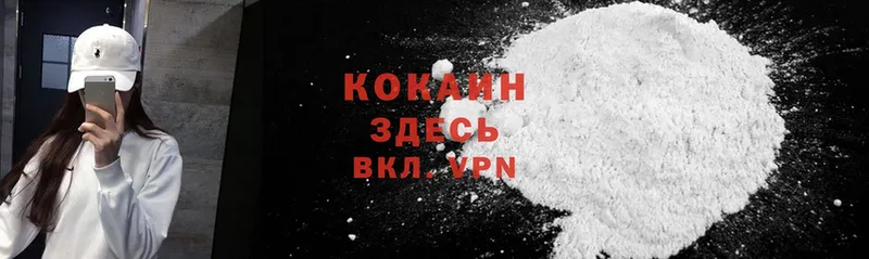 Cocaine Fish Scale Будённовск